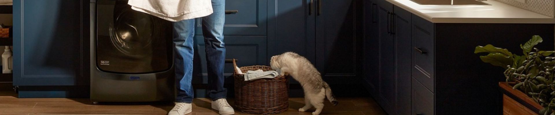 Banner Cómo eliminar pelos, olores y manchas de gato de tu ropa